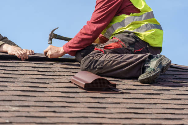 Roof Gutter Cleaning in St Elmo, IL