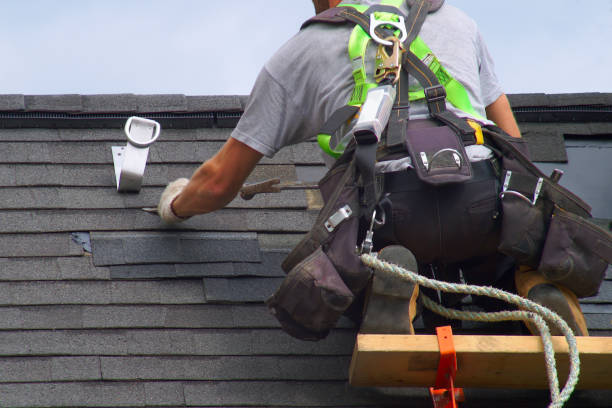 Best Storm Damage Roof Repair  in St Elmo, IL