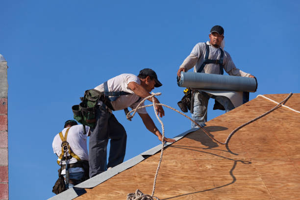Best Residential Roofing Contractor  in St Elmo, IL