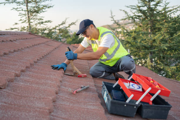 Best Residential Roofing Contractor  in St Elmo, IL