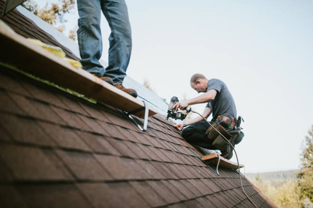 Best New Roof Installation  in St Elmo, IL